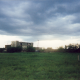 E. (Male, 16Yrs Old, Dandora Slum, Kenya), The greenish ground with some Clouds in top