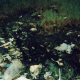 E. (Male, 16Yrs Old, Dandora Slum, Kenya), The Dumpsite with some Sewage Papers in it