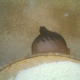 H. (Female, 18Yrs Old, Arusha, Tanzania), Hatua za kuchambua mchele