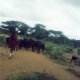 K. (Male, 17Yrs Old, Maasai Tribe, Tanzania)