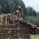 R. (Female, 20Yrs Old, Pygmy Tribe, Burundi)